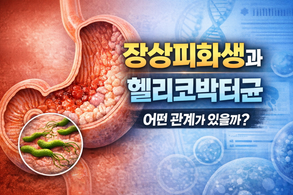 장상피화생과 헬리코박터균 관계를 설명하는 위 건강 인포그래픽