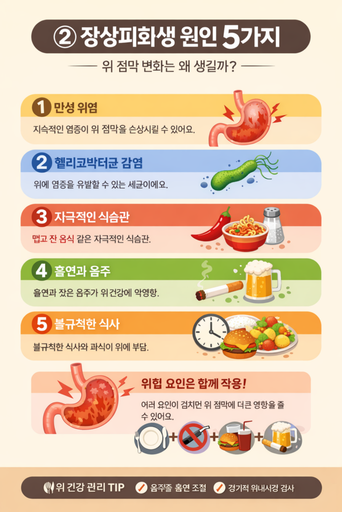 장상피화생 원인 5가지를 설명하는 인포그래픽으로, 만성 위염·헬리코박터균 감염·자극적인 식습관·흡연과 음주·불규칙한 식사가 위 점막 변화에 영향을 줄 수 있음을 시각적으로 정리한 이미지.