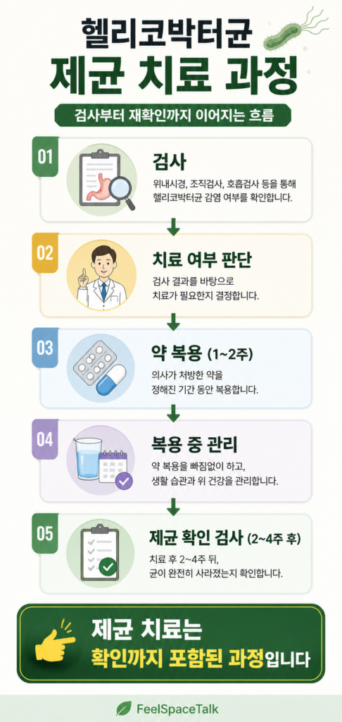 헬리코박터균 제균 치료가 끝난 뒤에도 재검사와 가짜 제균 가능성을 강조하며, 위 내부 일러스트와 검사 결과지를 활용해 “끝난 게 아니었다” 메시지를 전달하는 건강 썸네일